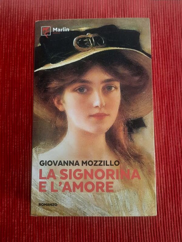 Analisi del romanzo La signorina e l'amore di Giovanna Mozzillo