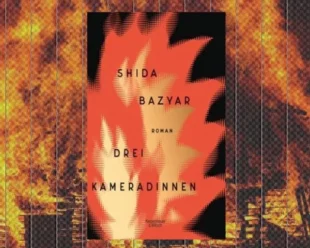 Fuoco di Shida Bazyar