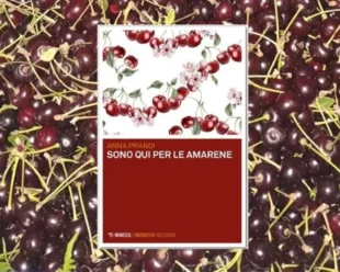 Sono qui per le amarene di Anna Prandi