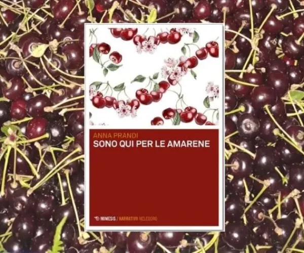 Sono qui per le amarene di Anna Prandi