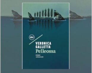 Pelleossa Libro di Veronica Galletta