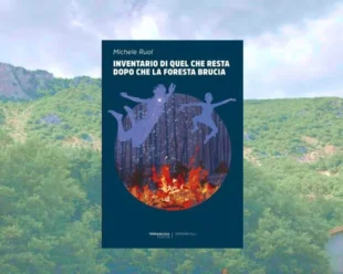 Inventario di quel che resta dopo che la foresta brucia di Michele Ruol
