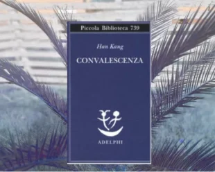 Convalescenza di Han Kang